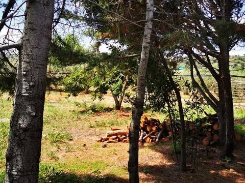 terreno agricolo in vendita a Monforte San Giorgio in zona Monforte Marina