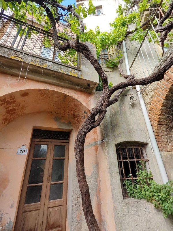 casa indipendente in vendita a Monforte San Giorgio