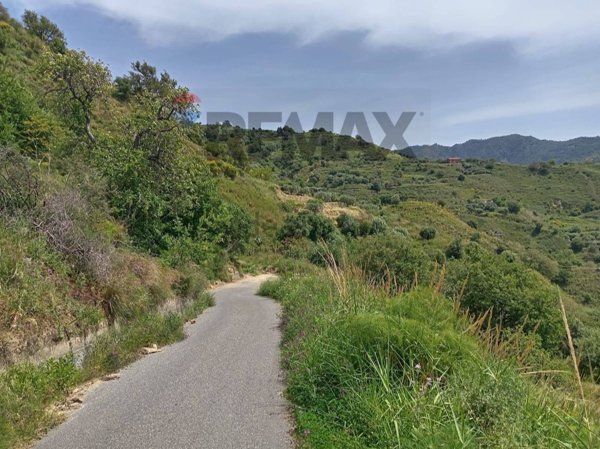 terreno agricolo in vendita a Mongiuffi Melia
