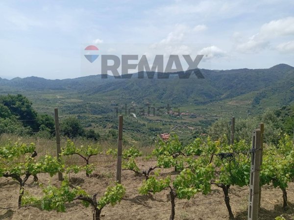 terreno agricolo in vendita a Mongiuffi Melia