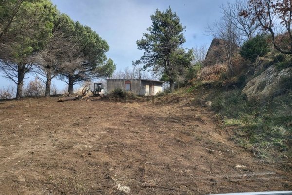 appartamento in vendita a Montalbano Elicona