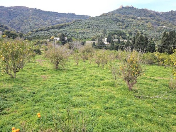 terreno agricolo in vendita a Naso