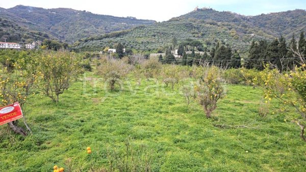 terreno agricolo in vendita a Naso