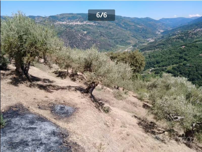 terreno agricolo in vendita a Naso