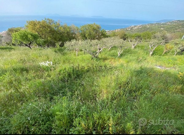 casa indipendente in vendita a Naso