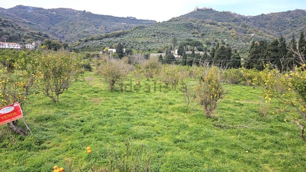 terreno agricolo in vendita a Naso