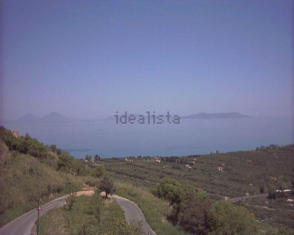 azienda agricola in vendita a Naso