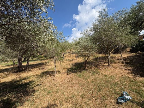 terreno agricolo in vendita a Naso