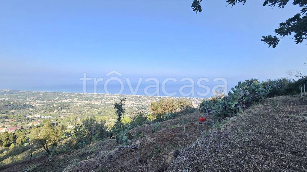 terreno agricolo in vendita a Naso