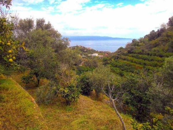 terreno agricolo in vendita a Nizza di Sicilia
