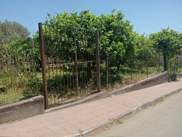 terreno agricolo in vendita a Nizza di Sicilia