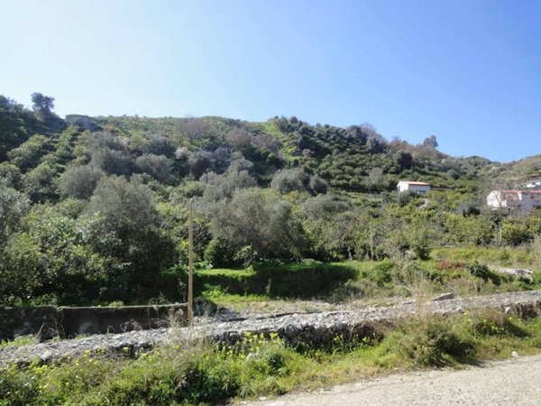 terreno agricolo in vendita a Nizza di Sicilia