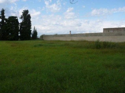 terreno agricolo in vendita a Pace del Mela
