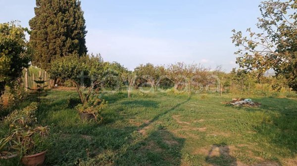 terreno agricolo in vendita a Pace del Mela in zona Giammoro