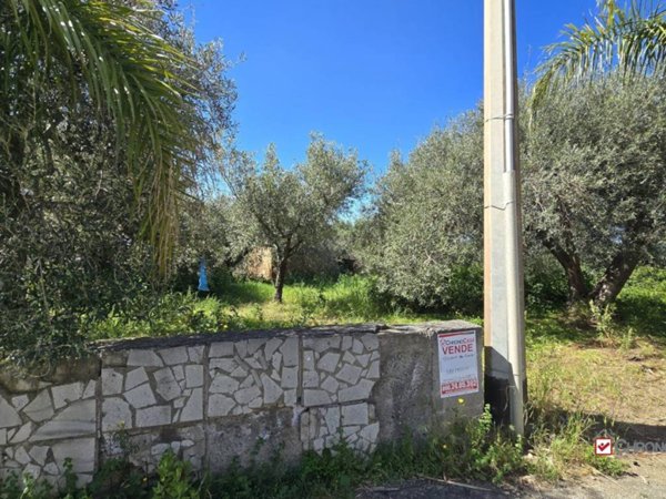terreno agricolo in vendita a Pace del Mela