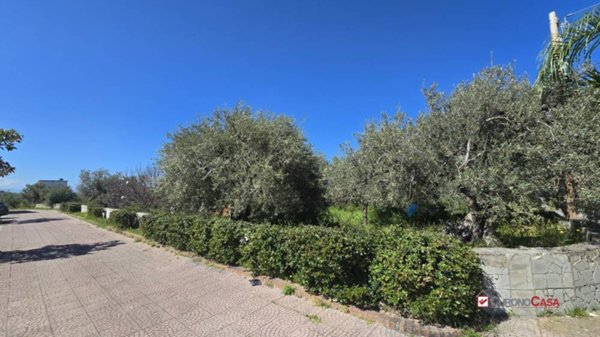 immagine annuncio 0 di 9