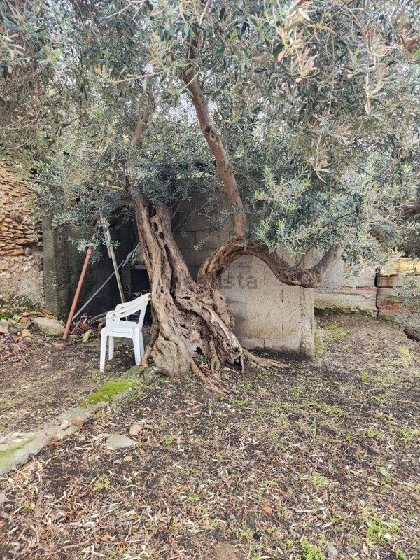 casa indipendente in vendita a Pace del Mela