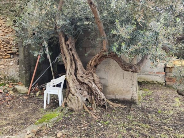 casa indipendente in vendita a Pace del Mela