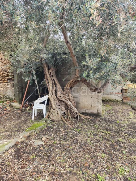 casa indipendente in vendita a Pace del Mela