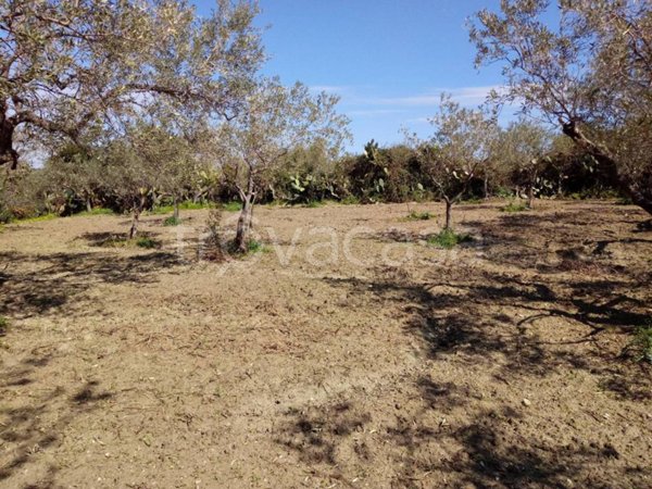 terreno agricolo in vendita a Pace del Mela