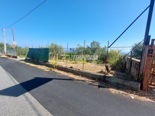 terreno agricolo in vendita a Pace del Mela