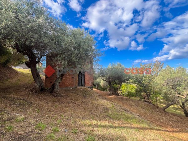 terreno agricolo in vendita a Pace del Mela