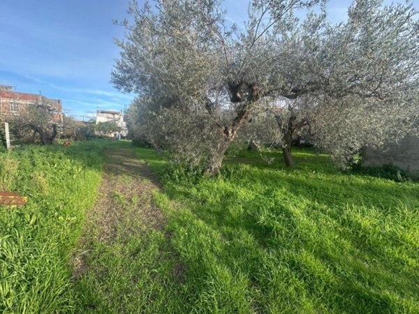 bifamiliare in vendita a Pace del Mela