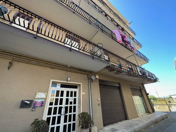 immagine annuncio 0 di 15