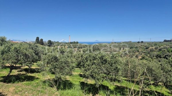 terreno agricolo in vendita a Pace del Mela