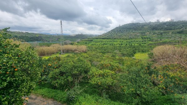 terreno agricolo in vendita a Pace del Mela