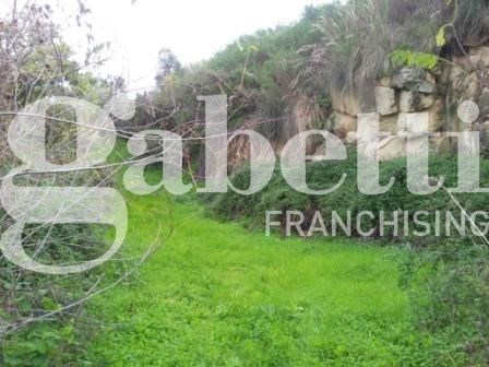 terreno agricolo in vendita a Patti