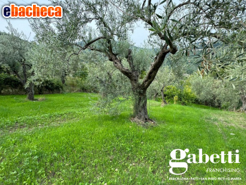 terreno agricolo in vendita a Patti