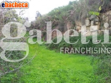 terreno agricolo in vendita a Patti