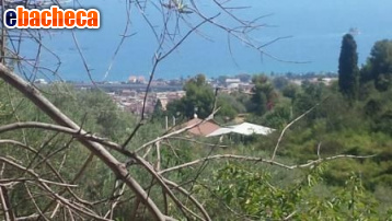 terreno agricolo in vendita a Patti