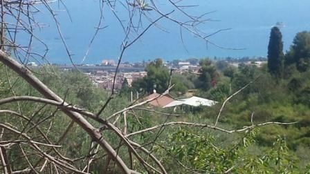 terreno agricolo in vendita a Patti