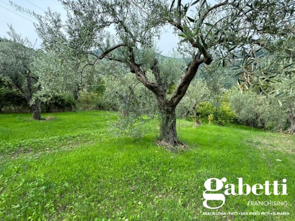 terreno agricolo in vendita a Patti