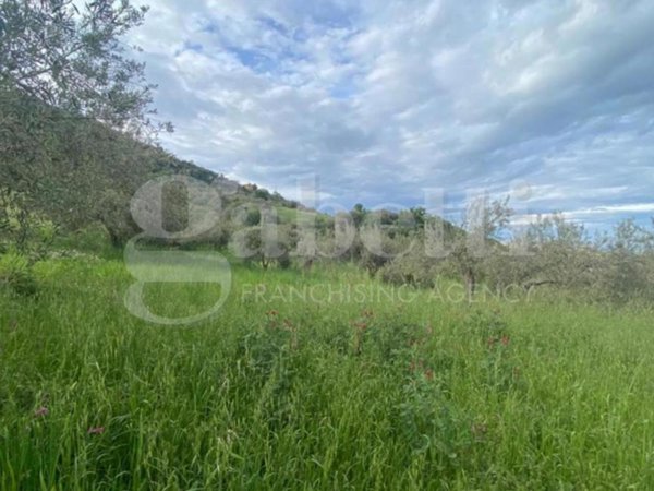 terreno agricolo in vendita a Patti