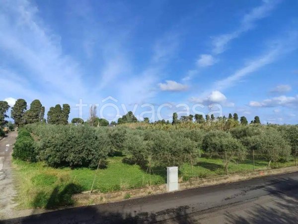 terreno agricolo in vendita a Patti in zona Mongiove