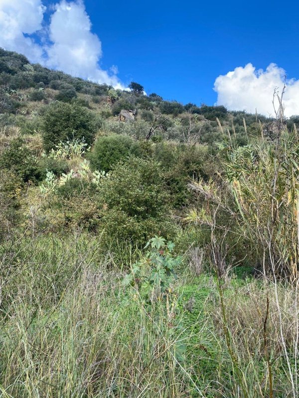 terreno agricolo in vendita a Patti