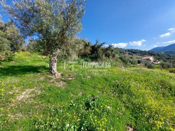 casa indipendente in vendita a Patti