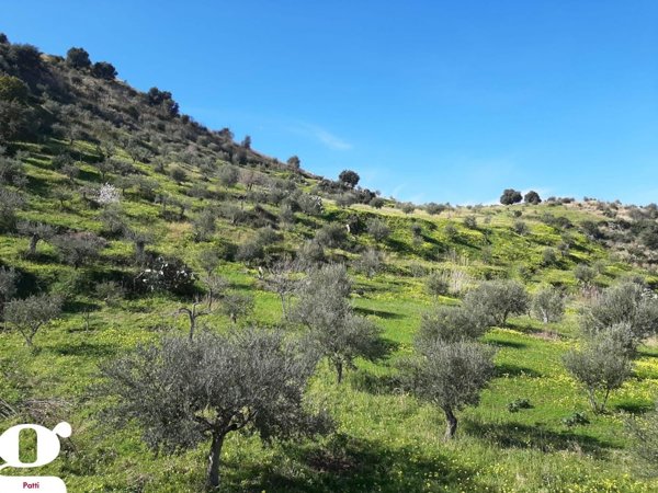 terreno agricolo in vendita a Patti