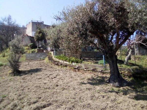 appartamento in vendita a Piraino