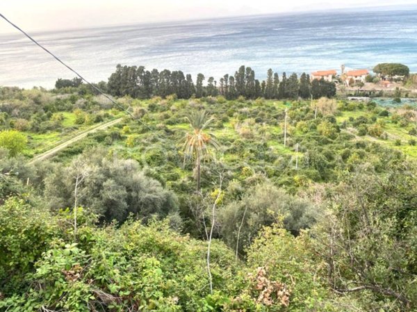 terreno agricolo in vendita a Piraino