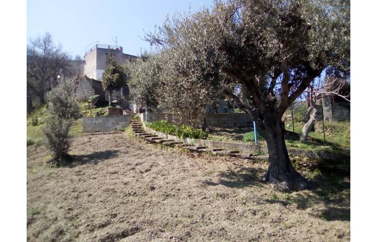 appartamento in vendita a Piraino