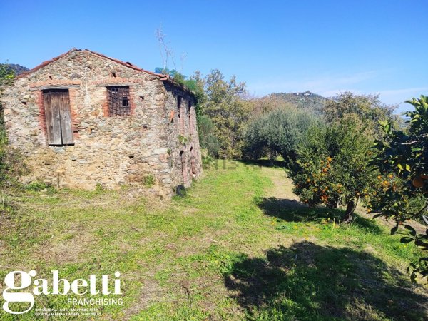 pentavano in vendita a Piraino in zona Sant'Ignazio