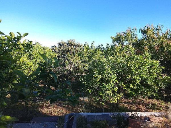 terreno agricolo in vendita a Roccalumera in zona Sciglio