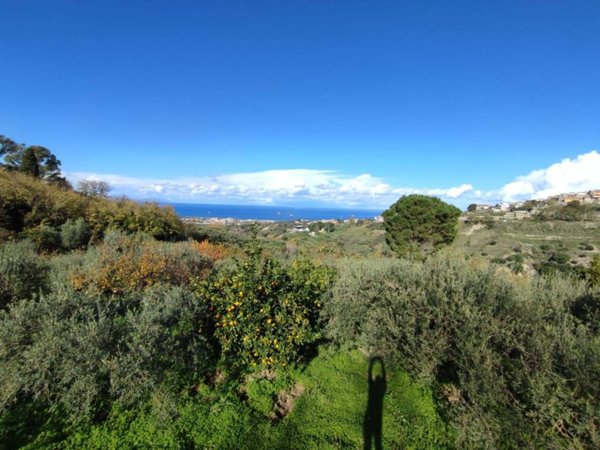 terreno agricolo in vendita a Roccavaldina