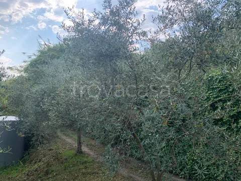 terreno agricolo in vendita a Roccavaldina