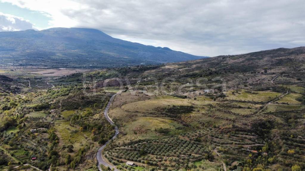 terreno agricolo in vendita a Roccella Valdemone