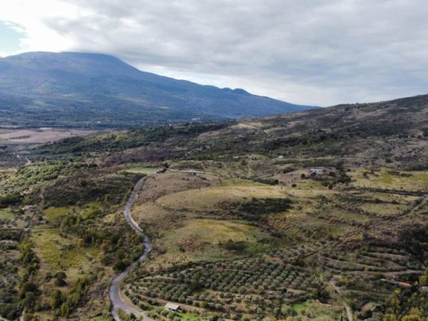 terreno agricolo in vendita a Roccella Valdemone